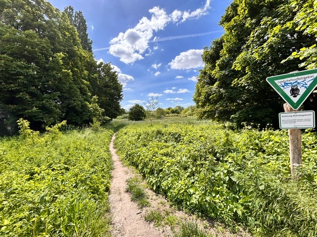 Zingerwiesen