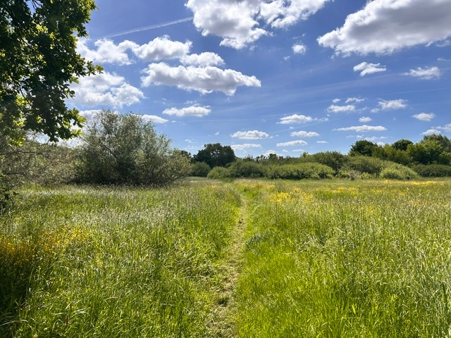 Naturschutzgebiet