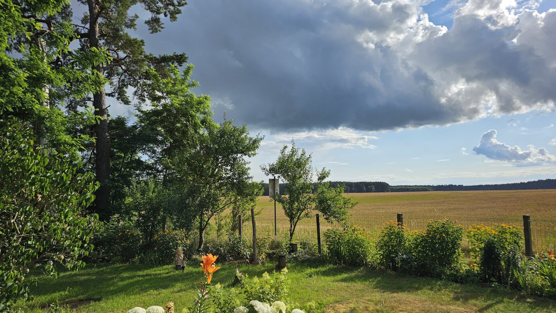 Garten