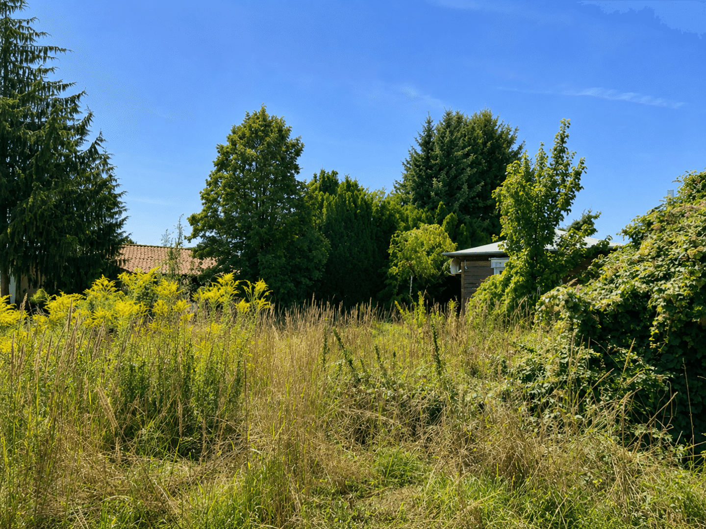 Baugrundstück Ansicht