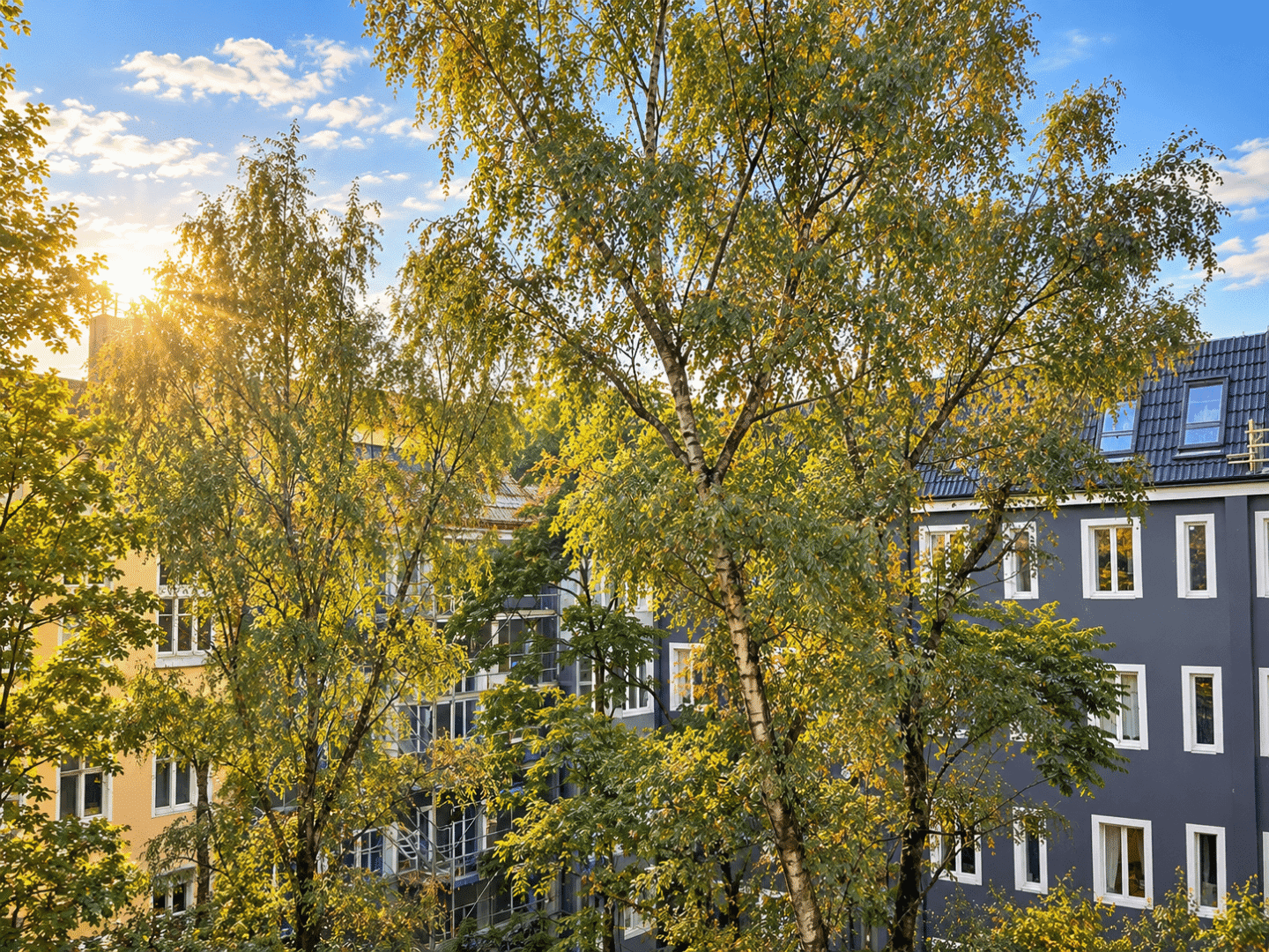 Blick in den Hof