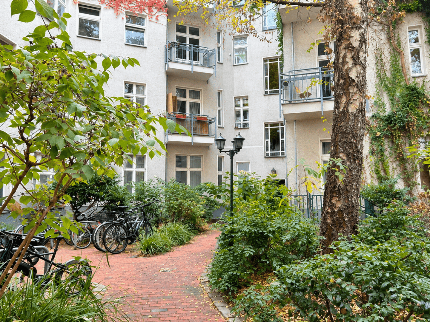 Gartenbereich